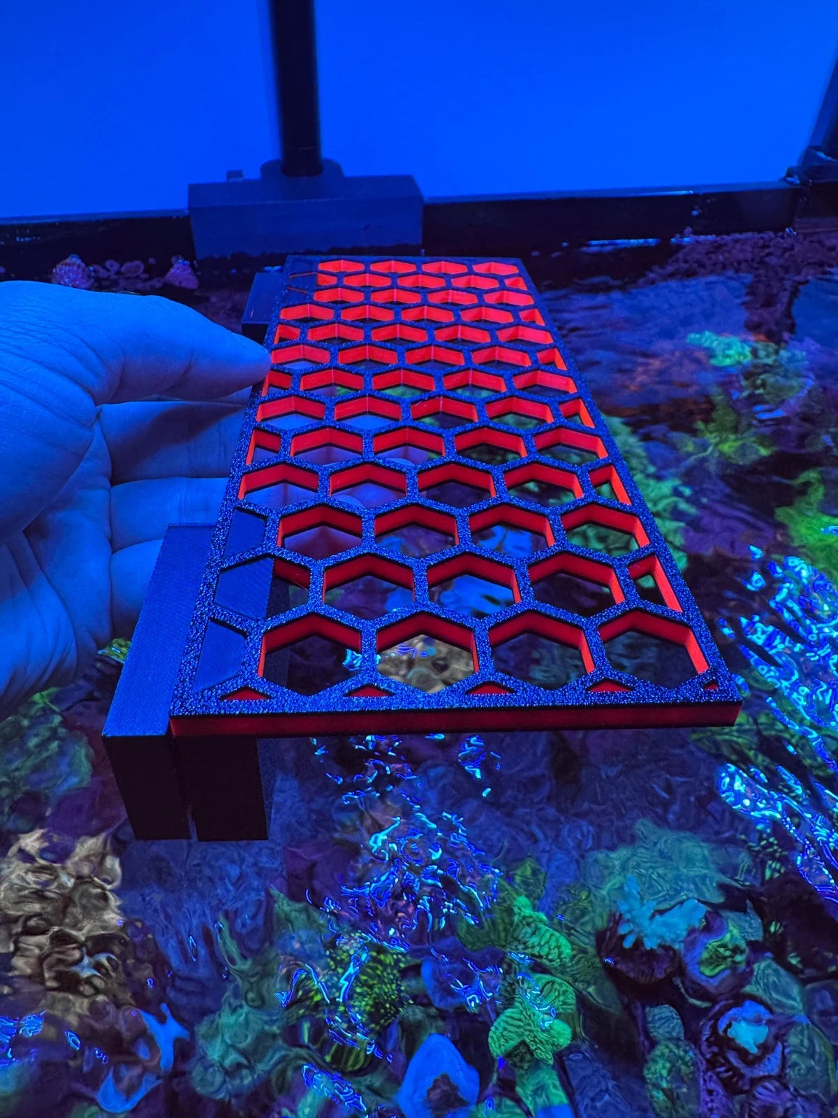 Coral Frag Magnet Rack with Holders (3.5" x 8.25") – PETG Printed, Plastic Coated Magnets