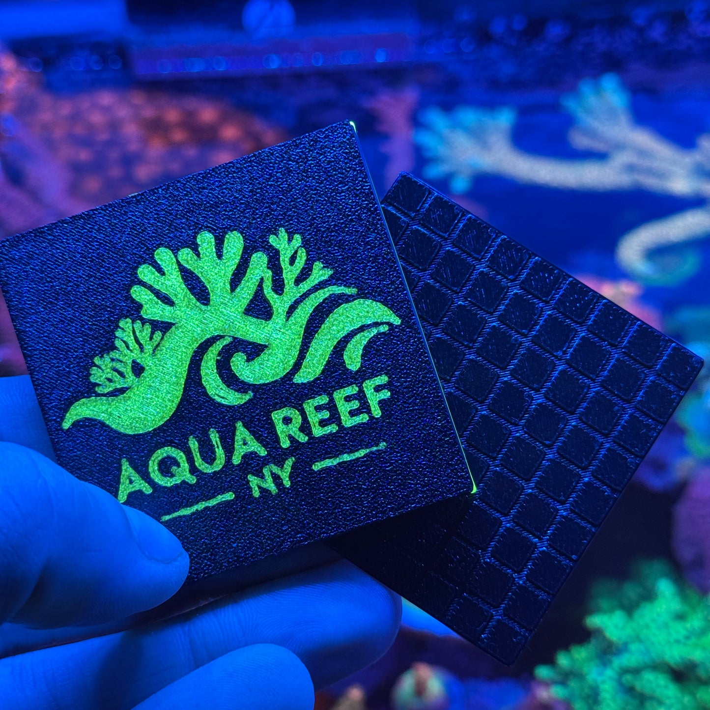 Zoanthids Frag System Plate – 57x57mm Grow-Out Tile, Easy-Cut Design, 3D Printed in Reef-Safe PETG