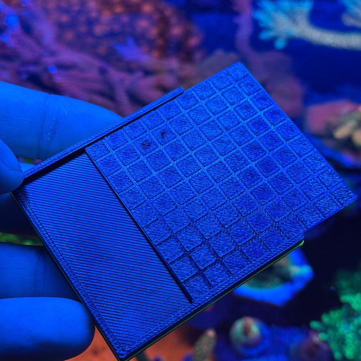Zoanthids Frag System Plate – 57x57mm Grow-Out Tile, Easy-Cut Design, 3D Printed in Reef-Safe PETG