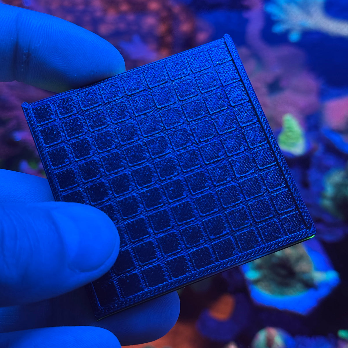 Zoanthids Frag System Plate – 57x57mm Grow-Out Tile, Easy-Cut Design, 3D Printed in Reef-Safe PETG