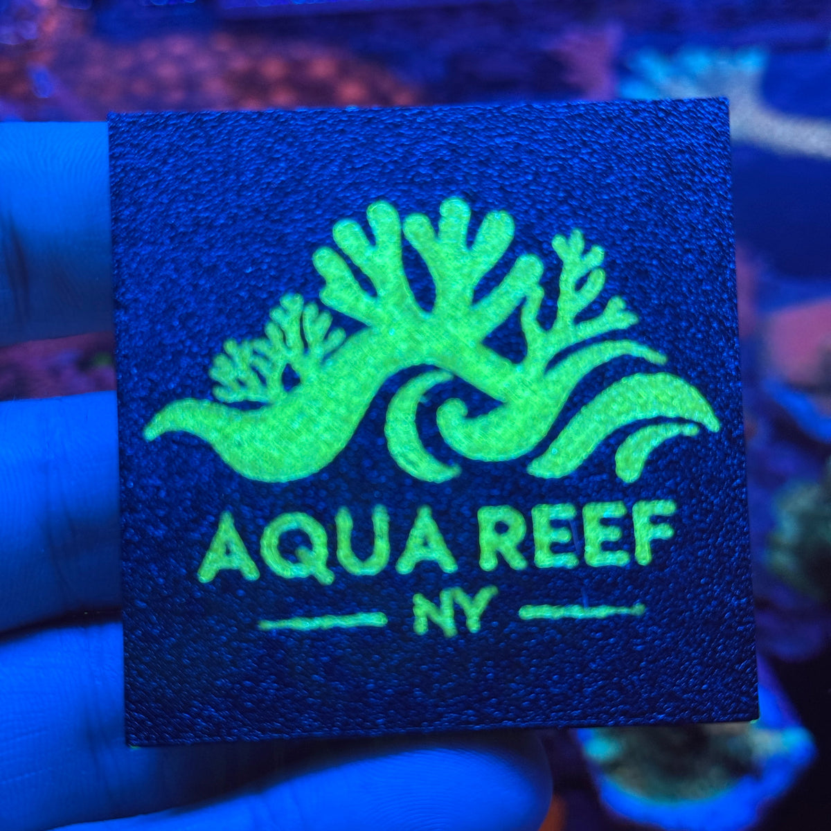 Zoanthids Frag System Plate – 57x57mm Grow-Out Tile, Easy-Cut Design, 3D Printed in Reef-Safe PETG